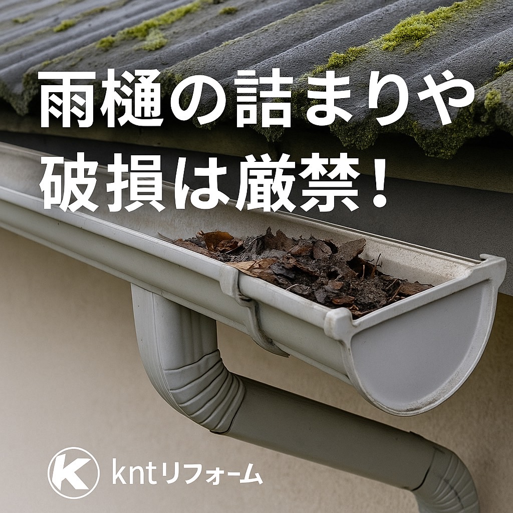 落ち葉で詰まった雨樋の写真