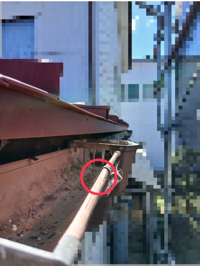 雨樋の固定金具がサビつき、腐食が進行して強度が低下している様子。