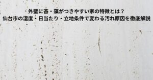 外壁に緑色の苔や黒い藻が付着した状態のイメージ写真