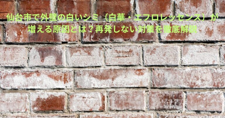 仙台市で外壁に発生する白華（エフロレッセンス）をイメージした、白いシミが付着した外壁レンガの写真