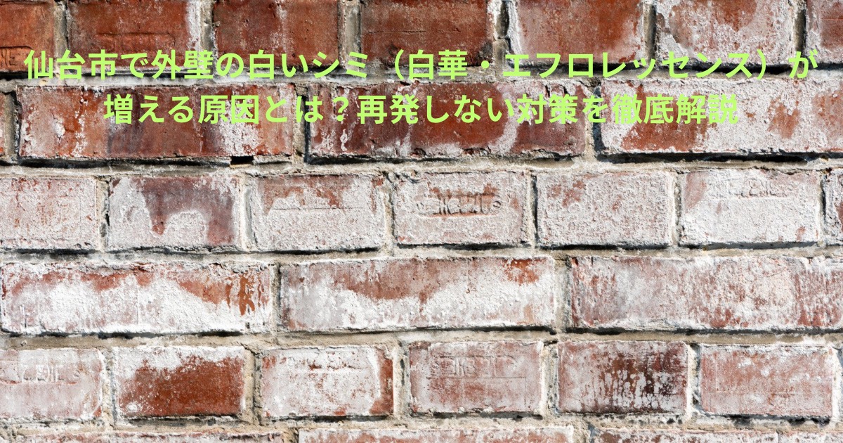 仙台市で外壁に発生する白華（エフロレッセンス）をイメージした、白いシミが付着した外壁レンガの写真