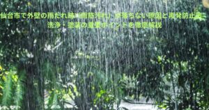 雨が激しく降る様子を撮影したイメージ写真。仙台市で外壁の雨だれ跡（雨筋汚れ）が落ちない原因と再発防止策を解説する記事のアイキャッチ画像。