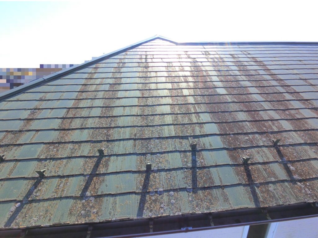 スレート屋根の表面に広範囲で苔が付着し、全体が緑色に変色している状態