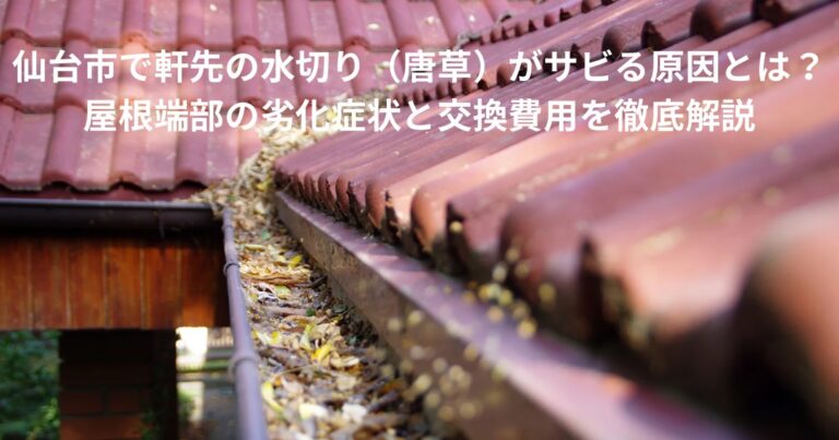 軒先の水切り（唐草）まわりに落ち葉が溜まり、劣化やサビのリスクが高まっている屋根の様子を表した写真