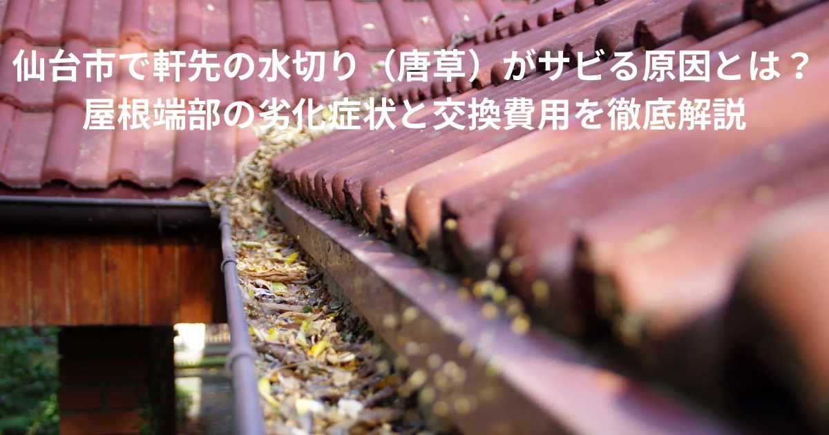 軒先の水切り(唐草)まわりに落ち葉が溜まり、劣化やサビのリスクが高まっている屋根の様子を表した写真