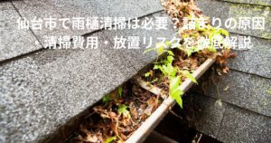 仙台市で雨樋に落ち葉や雑草が詰まり、雨水が流れなくなっている状態の写真