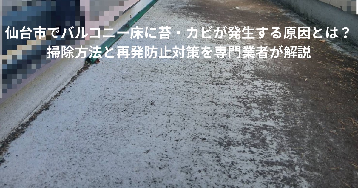 仙台市の住宅でバルコニー床に苔やカビが発生している状態。防水層の劣化や湿気により黒ずみや汚れが広がっている様子。