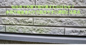 外壁下部が黒ずみ、水切り板金まわりに汚れが付着している状態を写した現地写真