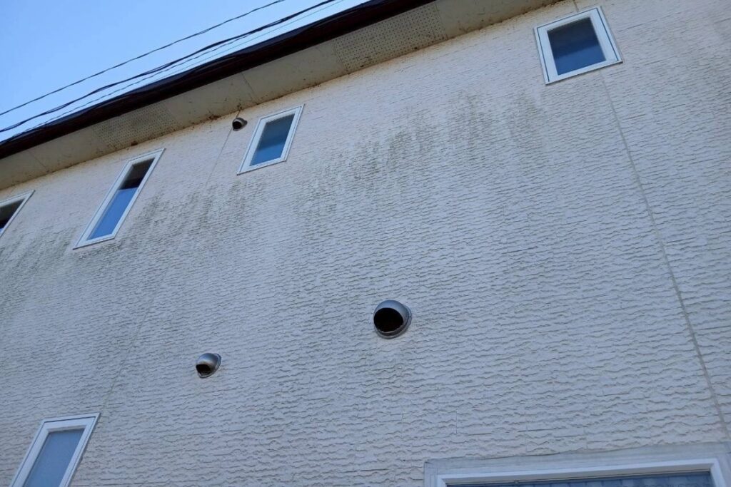 北面外壁に苔やカビが発生している施工前の状態