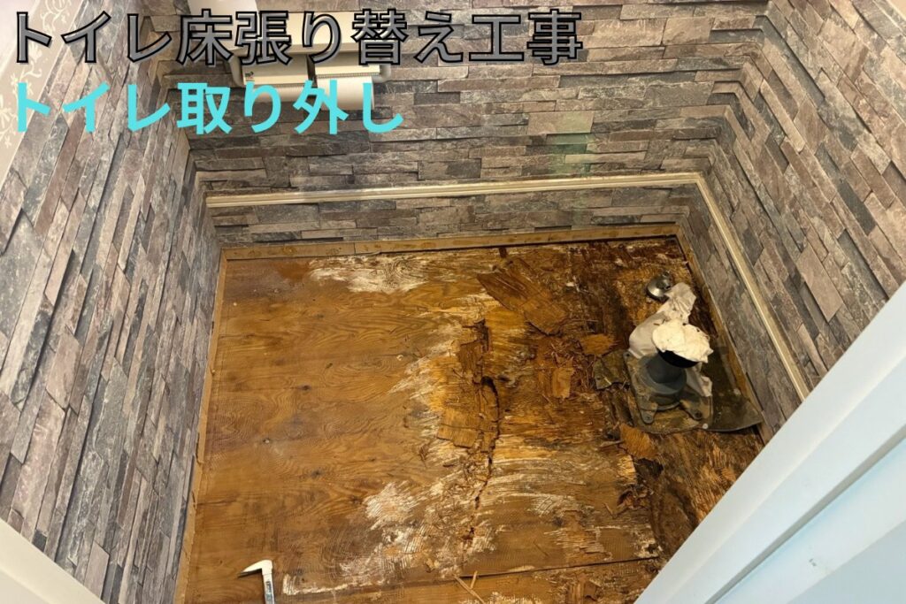 トイレのクッションフロアを剥がして確認した腐食した床下地